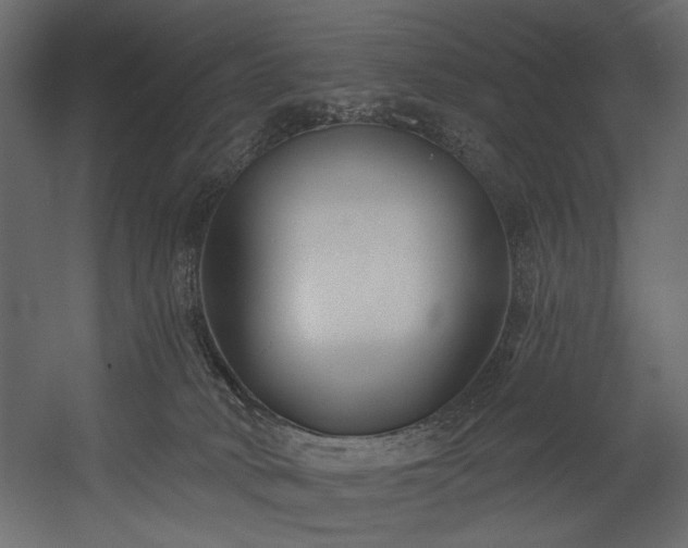 X0000054380034200508011305