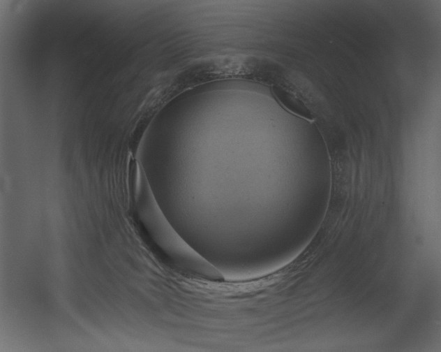 X0000054380035200508011305