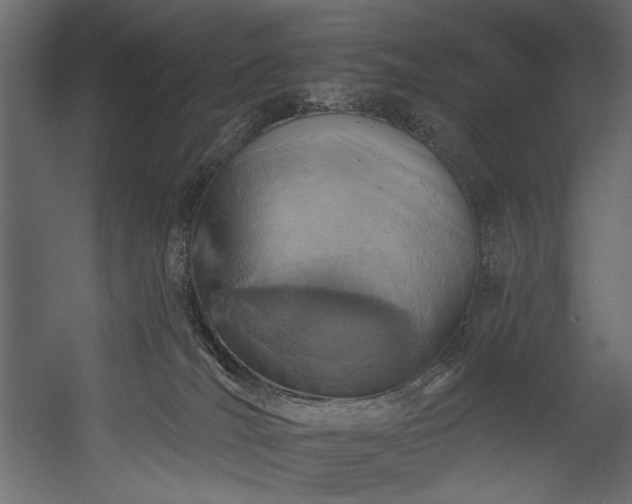 X0000054380036200508011305