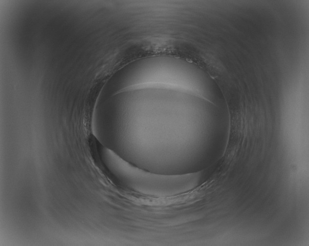 X0000054380039200508011305
