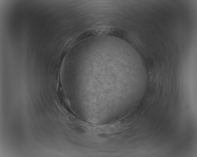 X0000054380042200508011305