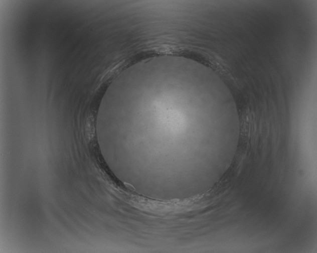X0000054380043200508011305