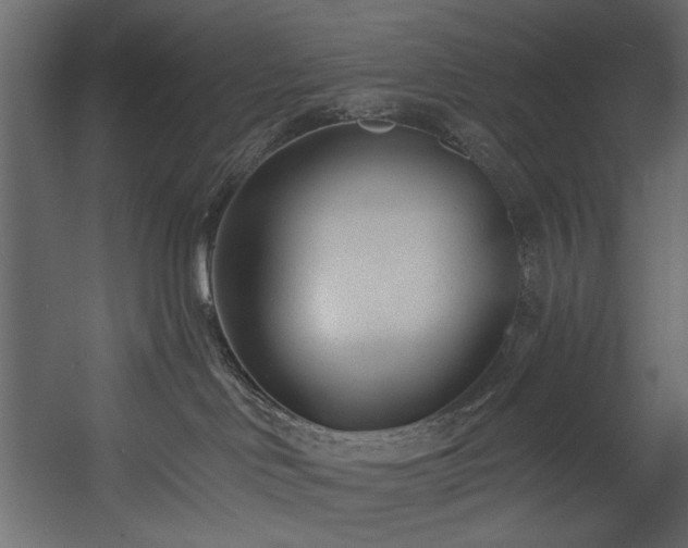 X0000054380046200508011305
