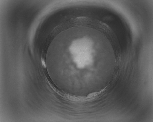 X0000054380047200508011305