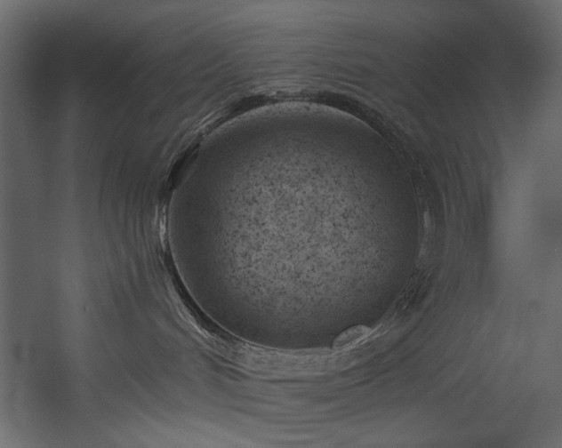 X0000054380048200508011305