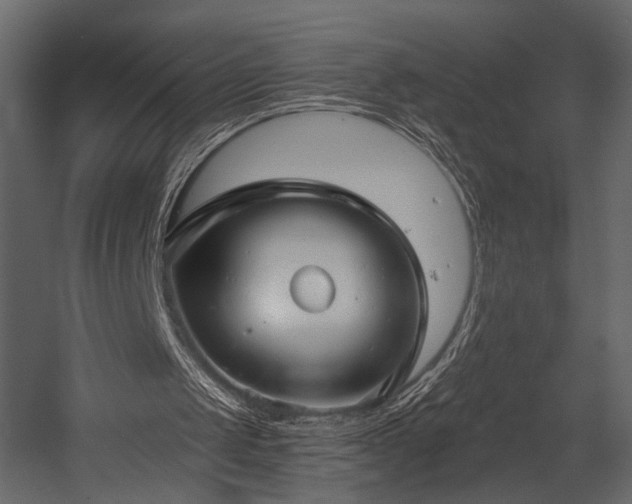 X0000054380049200508011304