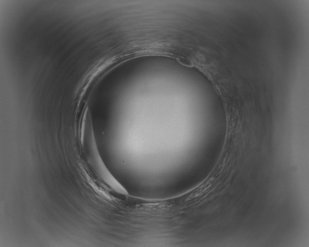X0000054380050200508011304