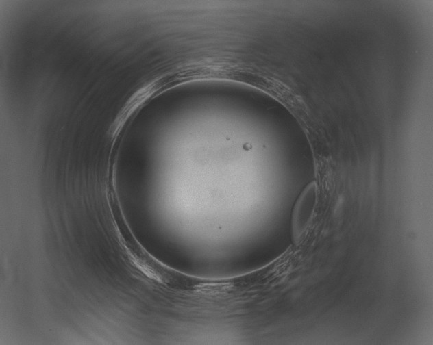 X0000054380051200508011304