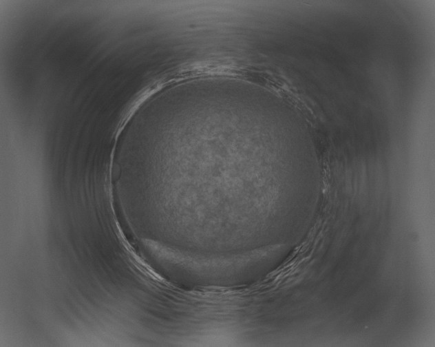 X0000054380052200508011304
