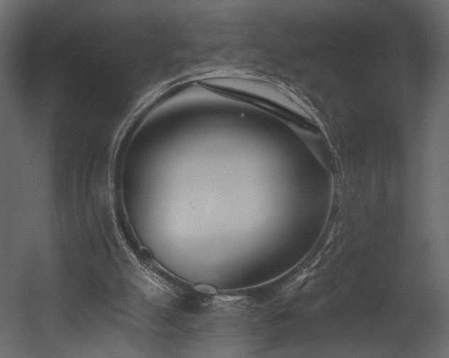 X0000054380055200508011304