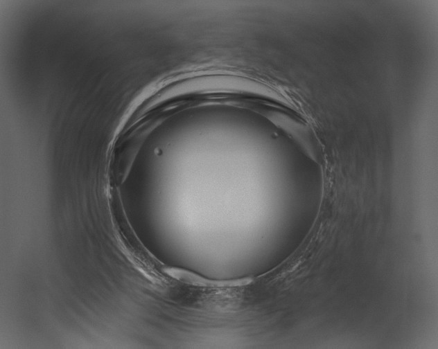 X0000054380056200508011304