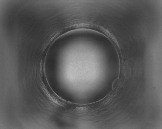 X0000054380057200508011304