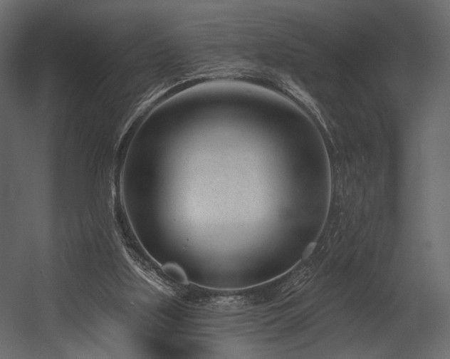X0000054380059200508011304
