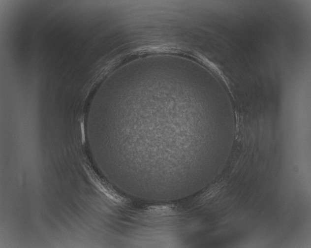 X0000054380061200508011304