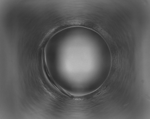 X0000054380064200508011304
