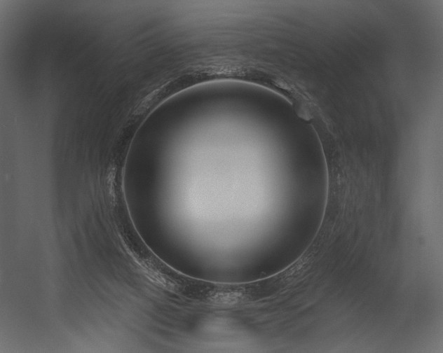 X0000054380066200508011304