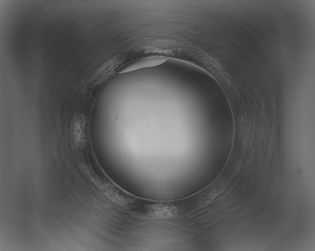 X0000054380073200508011304