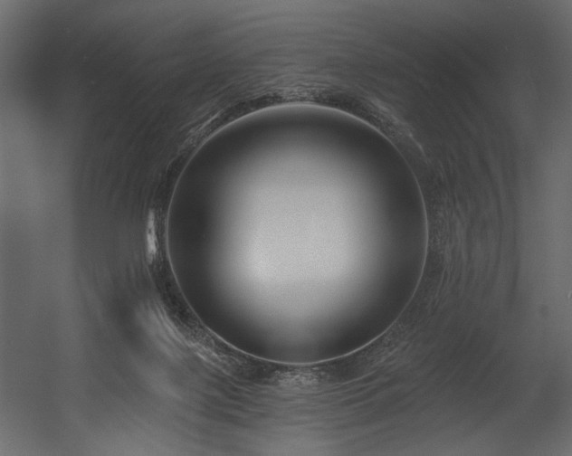X0000054380075200508011304