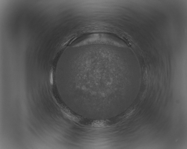 X0000054380076200508011305