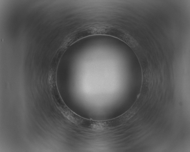 X0000054380079200508011305
