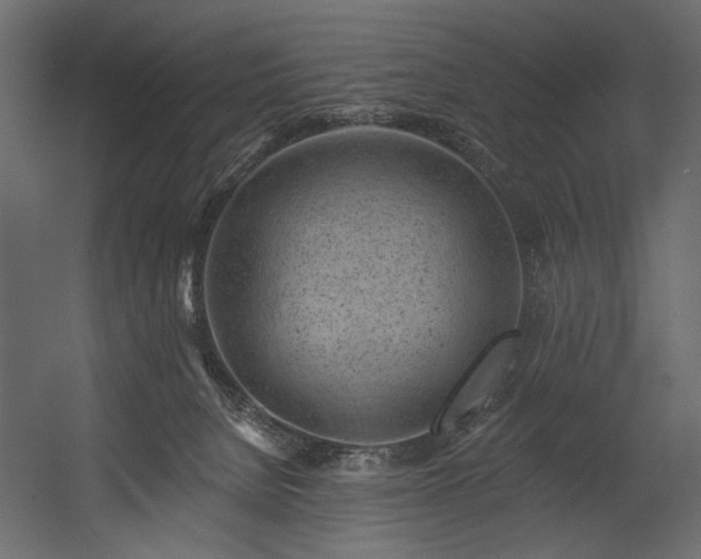 X0000054380080200508011305