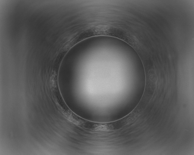 X0000054380083200508011305