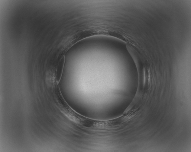 X0000054380084200508011305