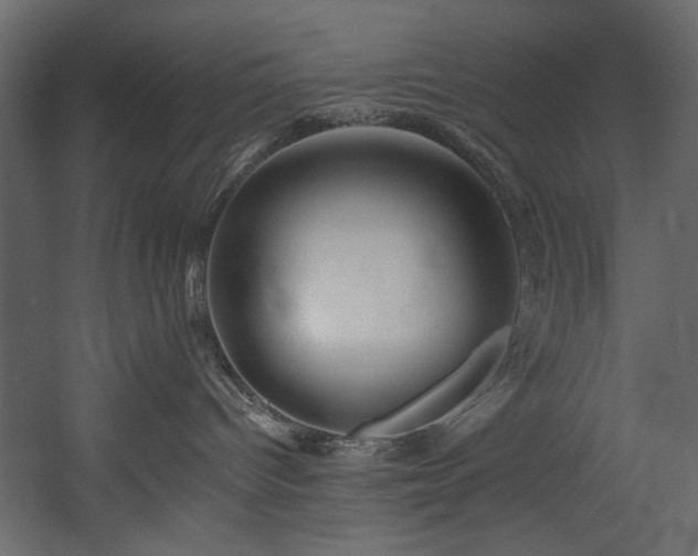 X0000054380096200508011305