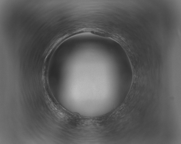 X0000054380098200508011304