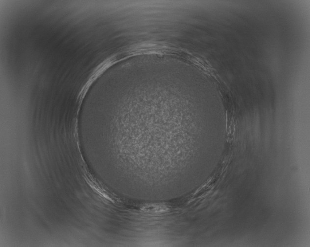 X0000054380099200508011304