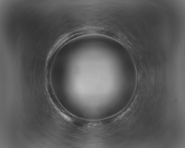 X0000054380101200508011304