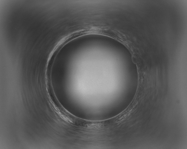 X0000054380102200508011304