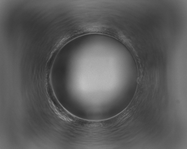 X0000054380106200508011304