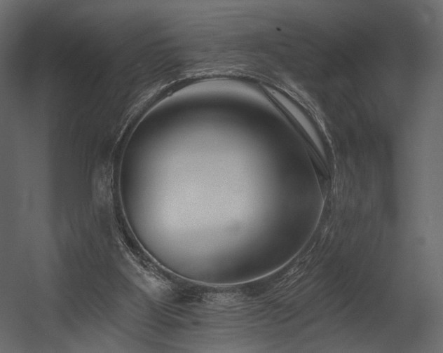 X0000054380107200508011304