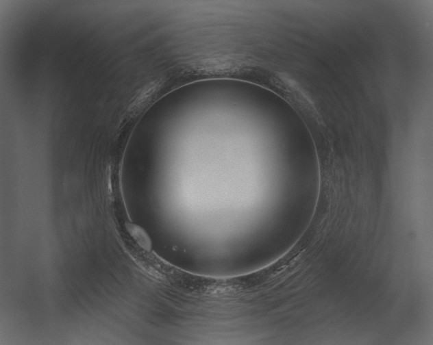 X0000054380115200508011304