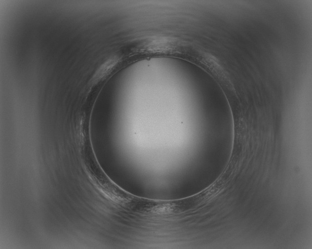 X0000054380116200508011304
