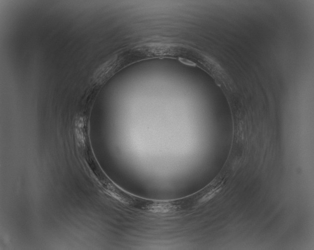 X0000054380121200508011304