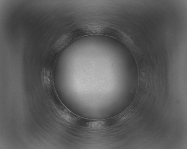 X0000054380122200508011304