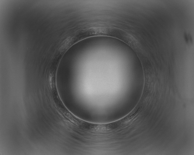 X0000054380123200508011304