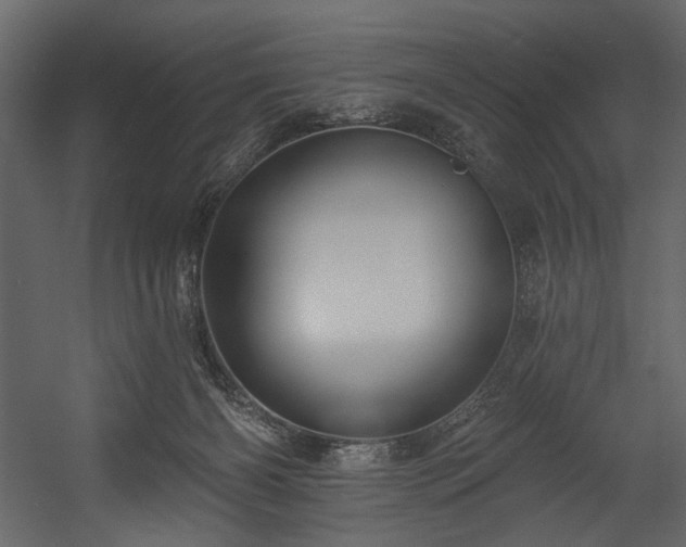 X0000054380126200508011304