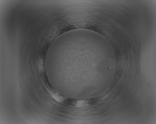 X0000054380130200508011303
