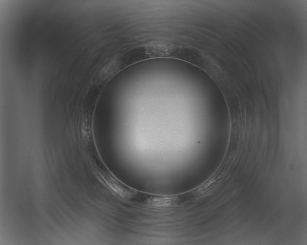X0000054380134200508011303