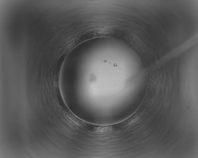 X0000054380135200508011303