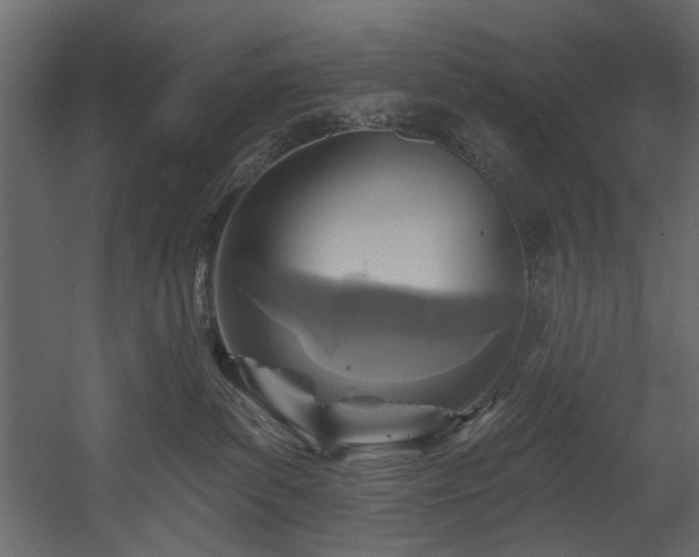 X0000054380139200508011303