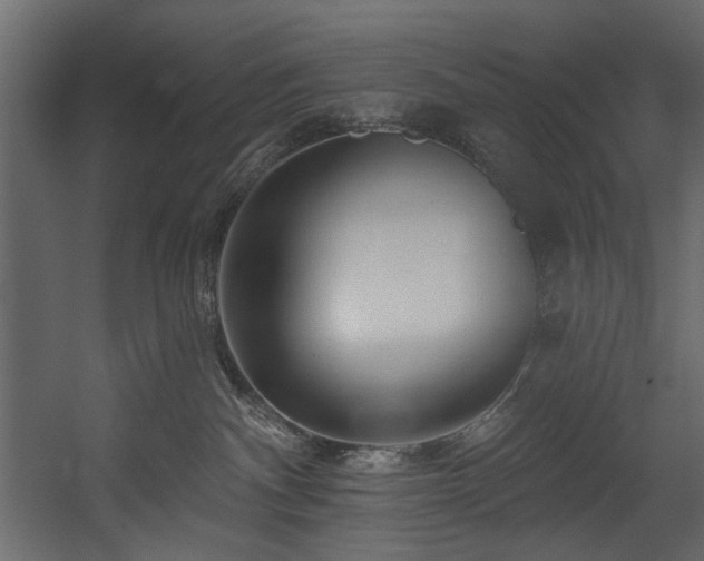 X0000054380140200508011303