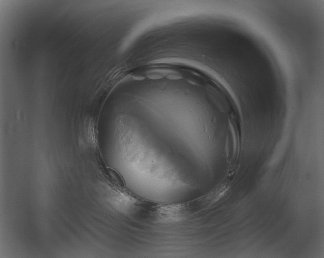 X0000054380143200508011303