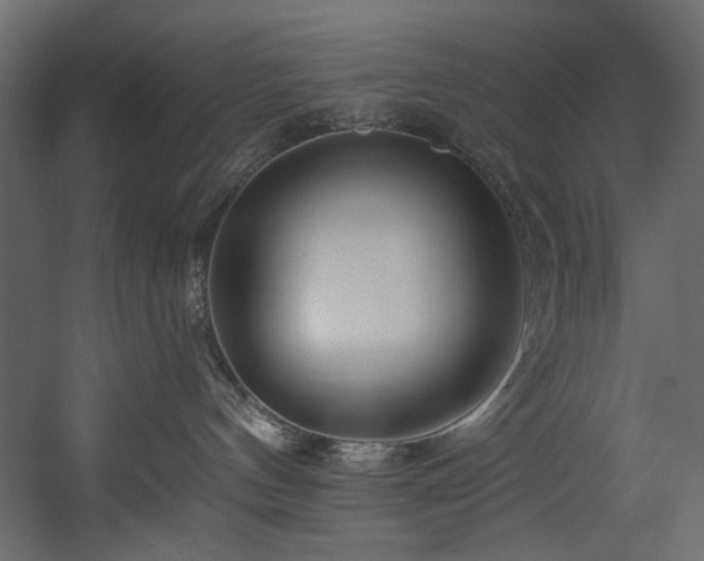 X0000054380144200508011303