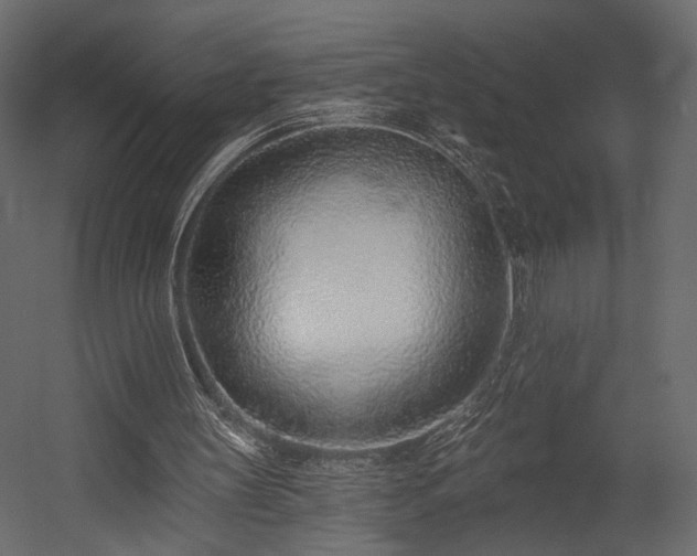 X0000054380147200508011302