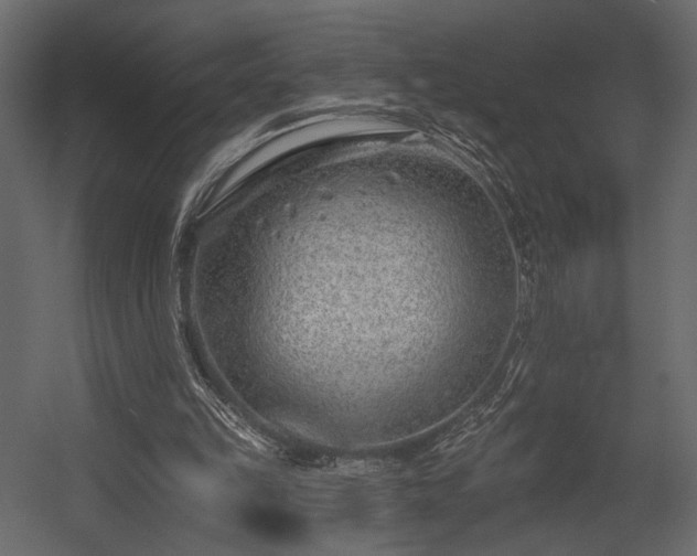 X0000054380149200508011302