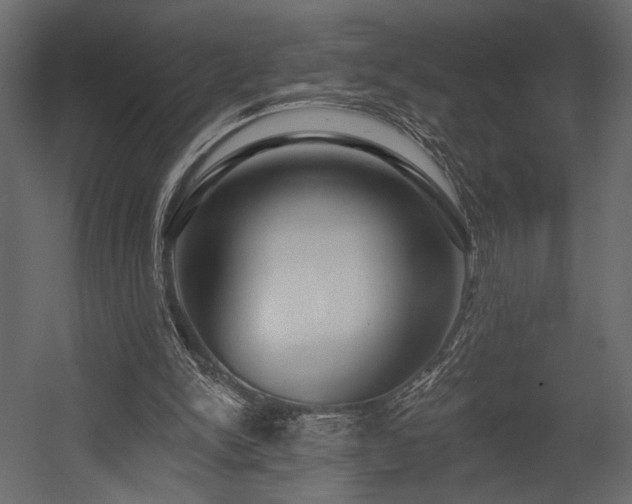 X0000054380150200508011302